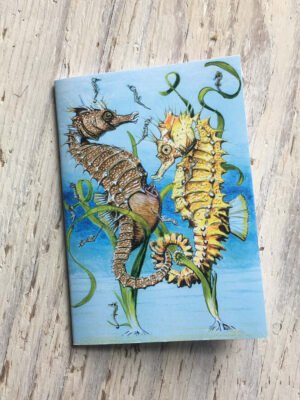 spiny seahorse front