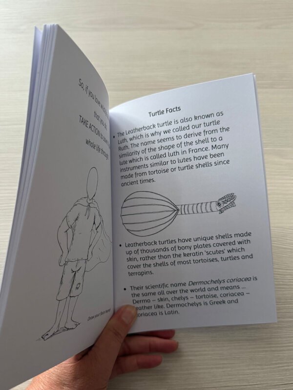 Leatherback Turtle Nature Discovery Book - Image 4