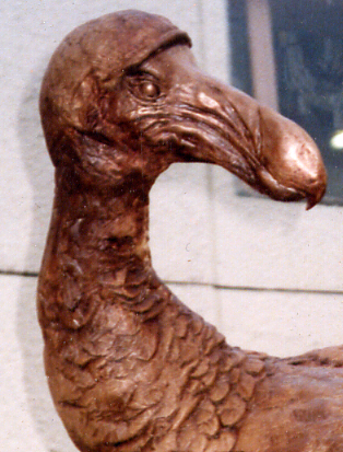 dodo sculpture