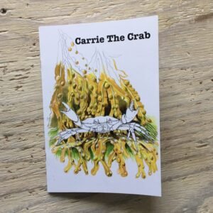 shore crab story book to colour