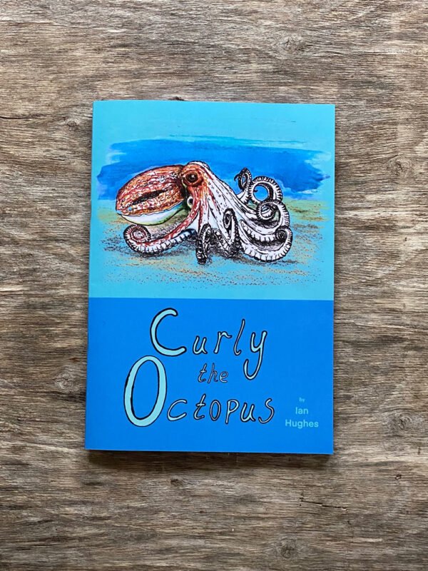Curled octopus storybook