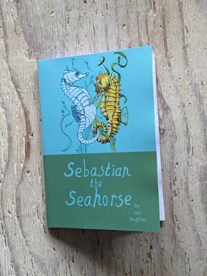Sebastian the Seahorse a storybook to colour