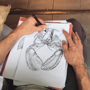 Sketching a lobster
