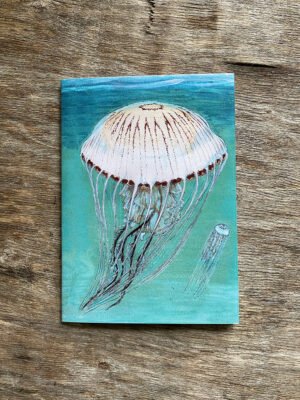 compass jellyfish pocket notebook