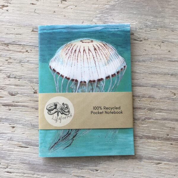 compass jellyfish pocket notebook