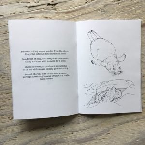 curled octopus colouring book
