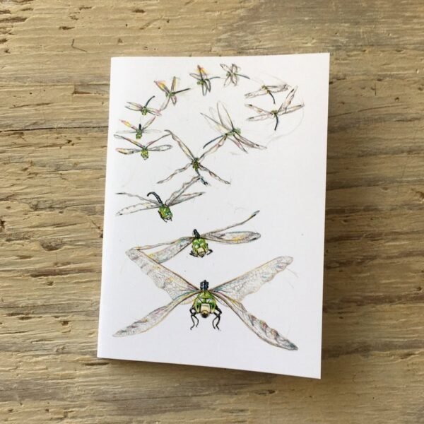 dragonfly flight pocket notebook
