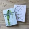 dragonfly pocket notebook set