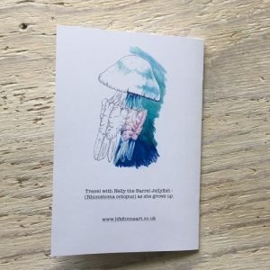 jellyfish story book to colour