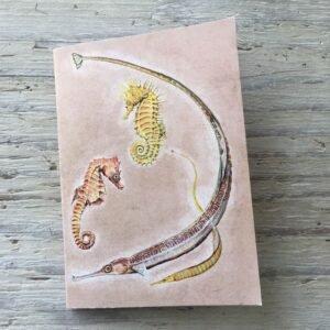 pipefish and seahorse pocket notebook