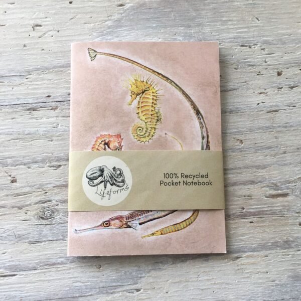 pipefish and seahorse pocket notebook
