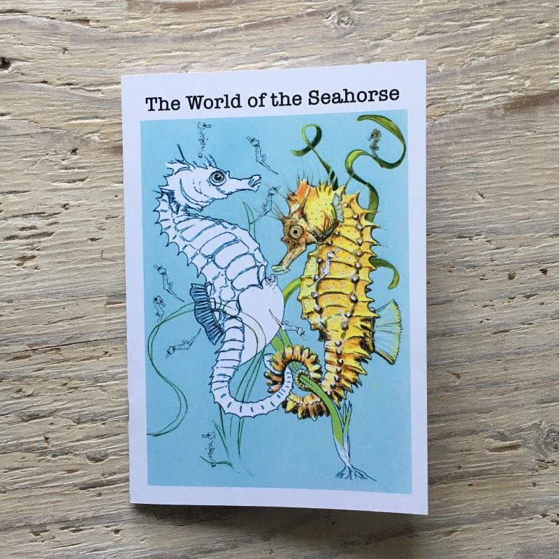 seahorse story book to colour