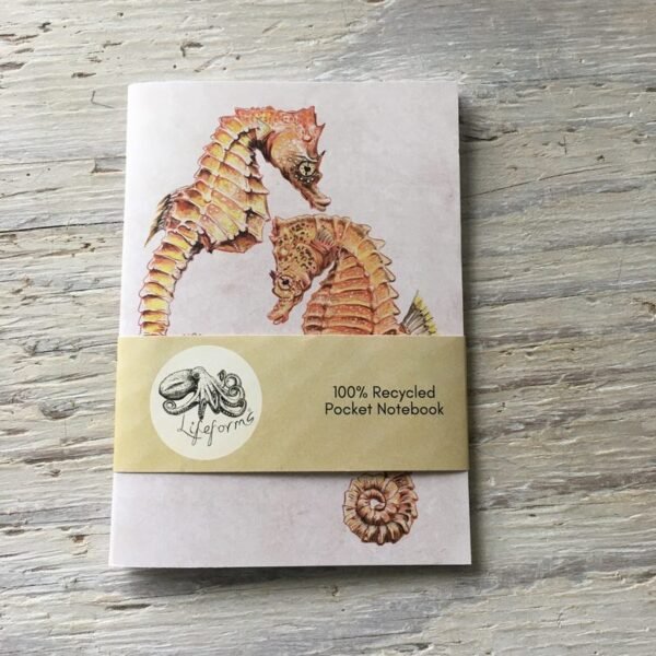 short snouted seahorse pocket notebook