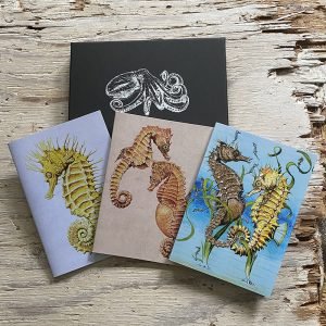 Seahorse Pocket Notebook Gift Set