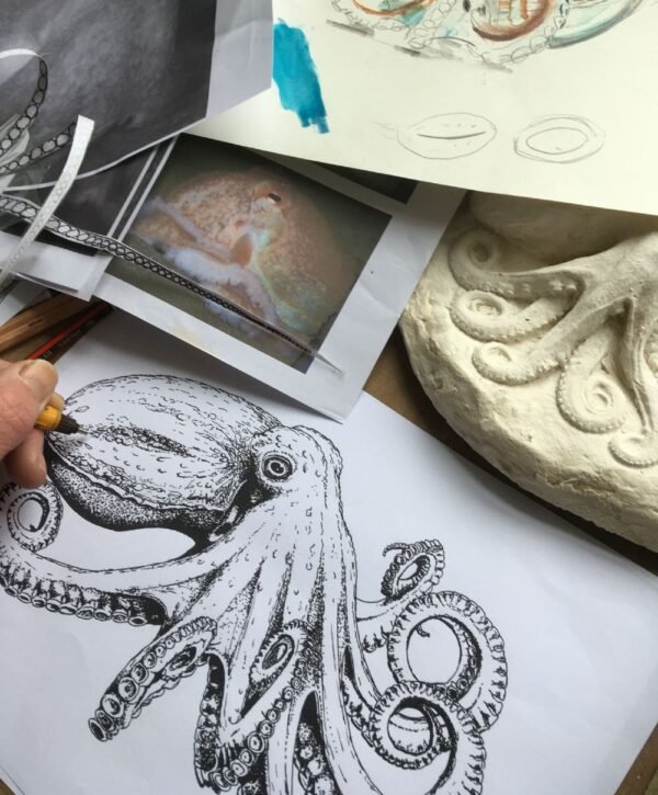 lifeforms art octopus sketch