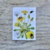 bumblebee and dandelion postcard