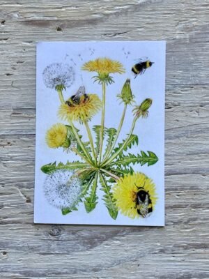 bumblebee and dandelion postcard