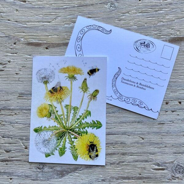bumblebee and dandelion postcard