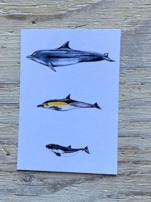 cetaceans postcard