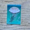 compass jellyfish postcard