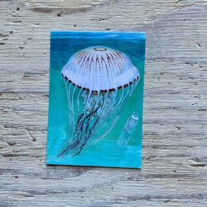 compass jellyfish postcard