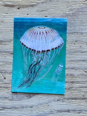 compass jellyfish postcard