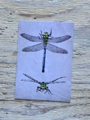 Emperor Dragonfly Postcard