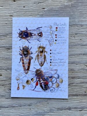 honeybee postcard