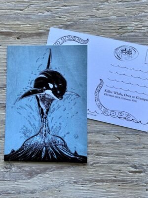 orca postcard