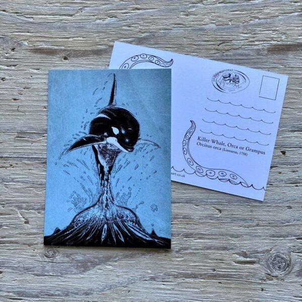 orca postcard