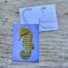seahorse postcard
