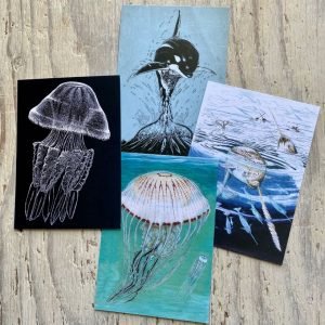 set of four postcards