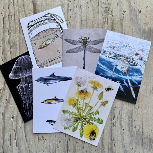 set of six art postcards