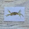 shore crab postcard
