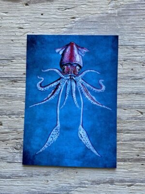 flying squid postcard