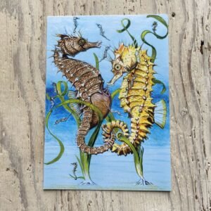 Spiny Seahorse Art Print