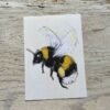 Bumblebee Art Print