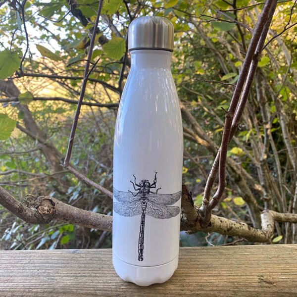 Dragonfly stainless steel water bottle