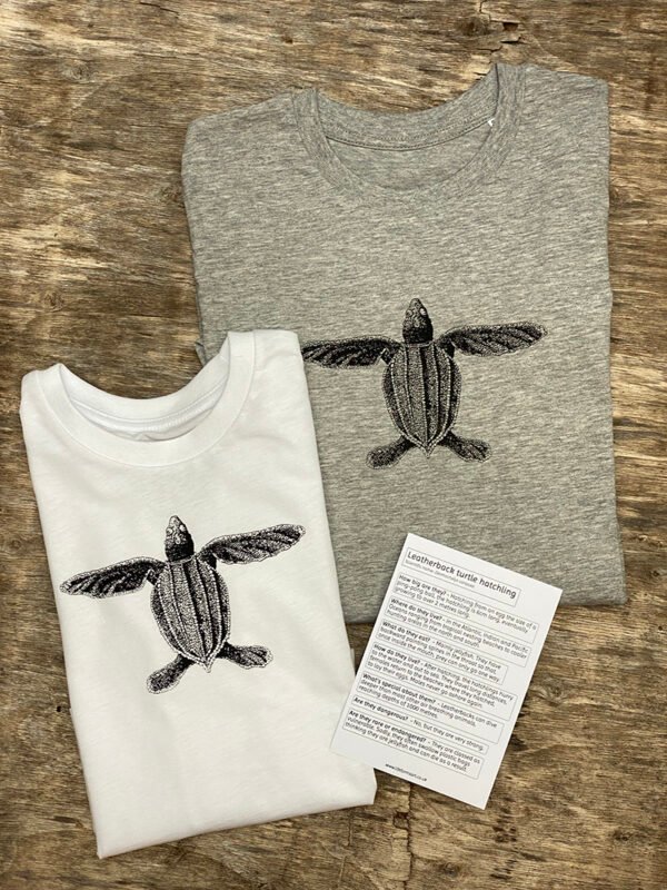 Hatchling turtle long sleeve t-shirts