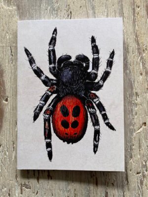 Ladybird spider pocket notebook