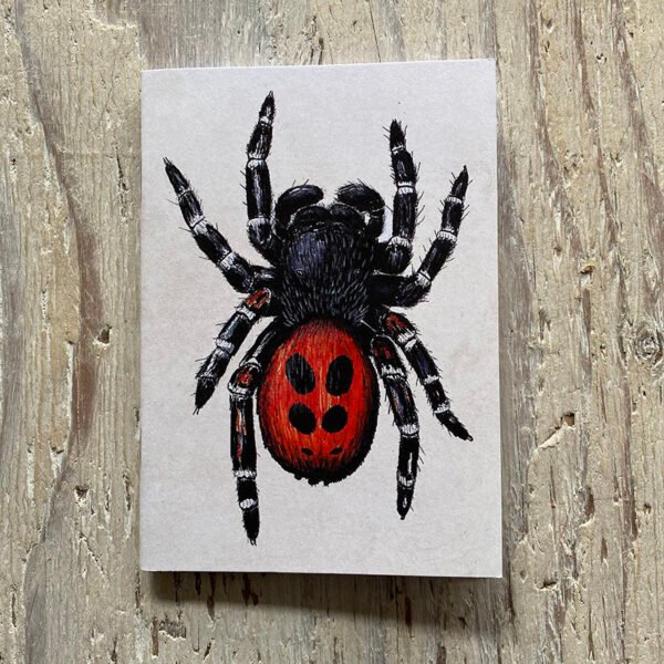 Ladybird spider pocket notebook