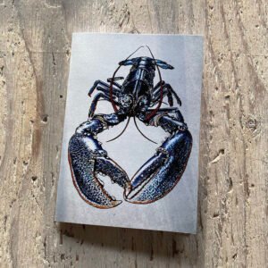 Lobster Pocket Notebook