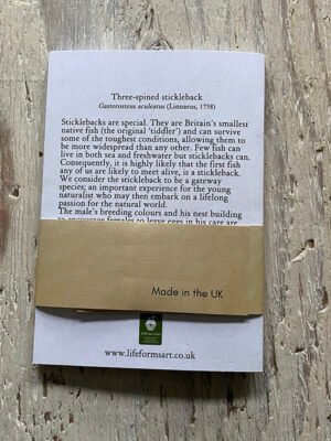 Stickleback Pocket notebook