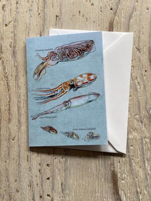 Cephalopods greetings card