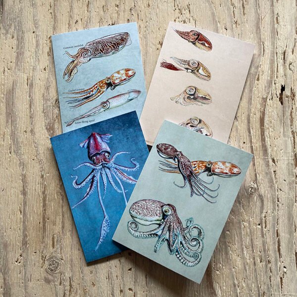 Cephalopods greetings card s set