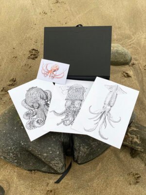 Cephalopods prints gift box