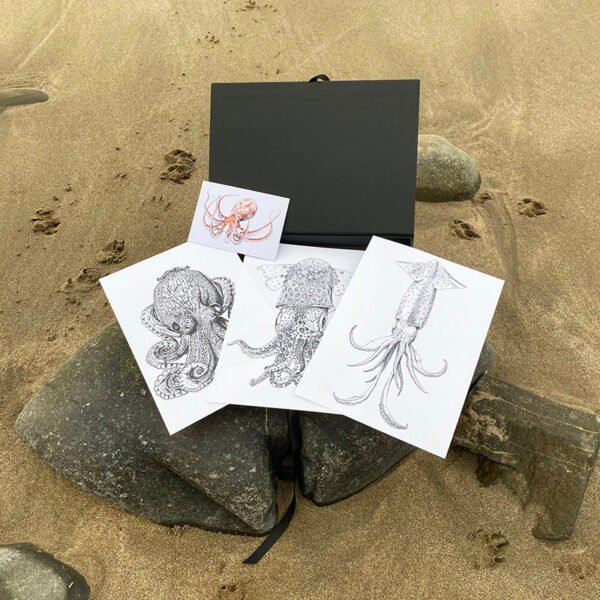 Cephalopods prints gift box