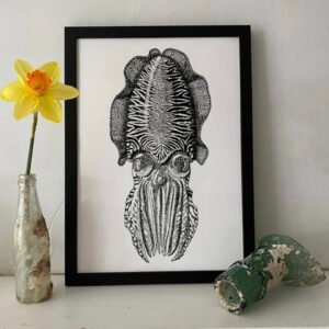 Common Cuttlefish Fine Art Print