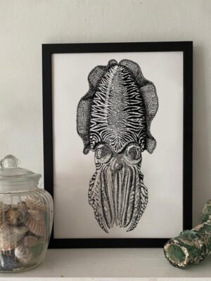 Common Cuttlefish Fine Art Print p