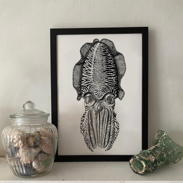 Common Cuttlefish Fine Art Print p